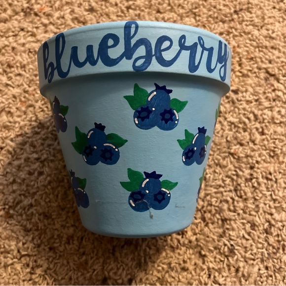 Hand Crafted Other - Blueberry Hand Painted Terracotta Pot